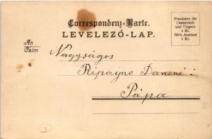 Cacao Suchard Swiss chocolate advertisement with Schaffhausen, Switzerland. Art Nouveau, floral, lit...