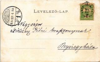 1904 Tata, Tata-Tóváros; Részlet a parkból. W. Haertel No. 505. Erdélyi cs. és ki. udv. fényképész f...