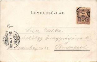 1900 Tata, Tata-Tóváros; Kilátás Tóvárosra, mosónők. W. Haertel No. 504. Erdélyi cs. és ki. udv. fén...