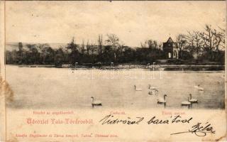 1905 Tata-Tóváros, Tatatóváros; Angolkerti részlet, Cseke tó, Török mecset. Engländer és Társa kiadása (fl)