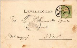 1905 Tata-Tóváros, Tatatóváros; Angolkerti részlet, Cseke tó, Török mecset. Engländer és Társa kiadá...