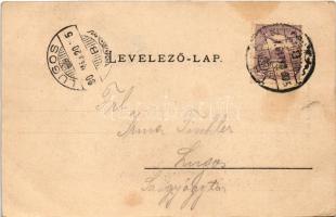 1900 Tata, Tata-Tóváros; Grófi kastély (Esterházy kastély) az allée bejáratával. Engländer és Társa ...