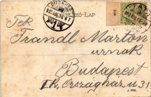 1903 Tata, Tata-Tóváros; Parkrészlet, római templom romjai. Engländer és Társa kiadása (ázott / wet ...