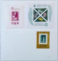 1958-1963 Kb 50 db blokk jobbakkal Lindner blokkberakóban, gyűrűs borítóval