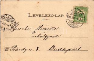 1902 Tata, Tata-Tóváros; Parkrészlet. Engländer és Társa kiadása (fl)