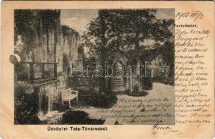 1905 Tata, Tata-Tóváros; Parkrészlet. Amon Gyula kiadása (felületi sérülés / surface damage)