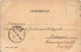 1905 Tata, Tata-Tóváros; Parkrészlet. Amon Gyula kiadása (felületi sérülés / surface damage)