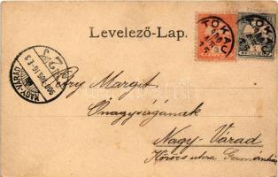 1900 Tokaj, Erzsébet Tisza híd (fl)