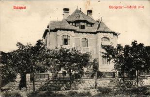1913 Budapest XI. Krompecher-Schulek villa, Dr. Krompecher Ödön lakóháza, tervezte Schulek János. Ménesi út 19. (fl)