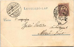 1900 Törökszentmiklós, Pánthy Leánynevelő intézet. Kapható Kardos Lajosnál (kis szakadás / small tea...