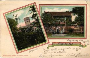 1905 Tarcsa, Bad Tatzmannsdorf; Bányai vár és Vogelsang Villa. Löwy Gusztáv és testvére kiadása, magyar szalagos keret / Schloss / castle, villa. Hugarian ribbon. Art Nouveau (EK)