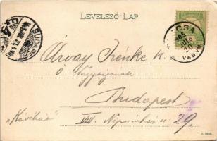 1905 Tarcsa, Bad Tatzmannsdorf; Bányai vár és Vogelsang Villa. Löwy Gusztáv és testvére kiadása, mag...