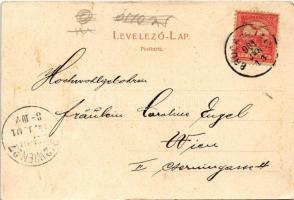 1901 Királyhida, Bruckújfalu Tábor, Brucker Lager, Bruckneudorf; Totalansicht, Auf der Schiesshalle....