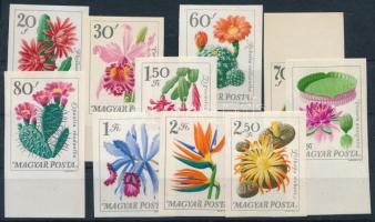 1965 Virág (VI.) - Botanikus kertek virágai vágott sor (5.500)