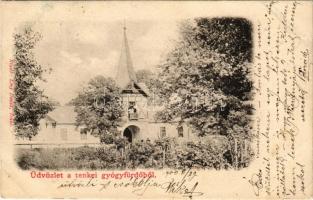 1900 Tenke, Tinca; Tenkei Gyógyfürdő. Lévy Dávid kiadása / spa, bath (EK)