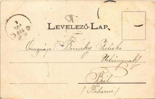 1900 Tenke, Tinca; Tenkei Gyógyfürdő. Lévy Dávid kiadása / spa, bath (EK)