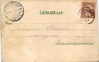 1900 Szomolány, Smolenice; vár. Back Gábor kiadása / hrad / castle (gyűrődések / creases)