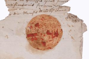 1551. Jagelló Izabella királyné eredeti oklevele Kak Mihály özvegyének, Burián Magdolnának, és Darai...