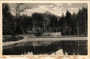 Lublófüred, Lubló-fürdő, Kúpele Lubovna (Ólubló, Stará Lubovna); Hlavny cast / Fő részlet, fürdő. Bernát Blayer kiadása / spa (EB)