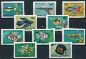 1962 Akváriumi díszhalak (I.) vágott sor (12.000)