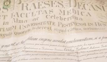 1874 Lechner Károly (1850-1922) orvos, elmegyógyász, egyetemi tanár, a Magyar Tudományos Akadémia le...