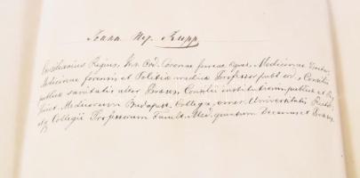 1874 Lechner Károly (1850-1922) orvos, elmegyógyász, egyetemi tanár, a Magyar Tudományos Akadémia le...