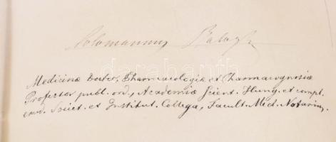 1874 Lechner Károly (1850-1922) orvos, elmegyógyász, egyetemi tanár, a Magyar Tudományos Akadémia le...