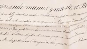 1874 Lechner Károly (1850-1922) orvos, elmegyógyász, egyetemi tanár, a Magyar Tudományos Akadémia le...