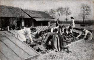 Budapest XIV. Zugló, Egressy út 71. Fővárosi gazdasági és háztartási iskola, palántázó nők (tűnyomok / pinmarks)