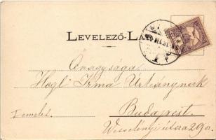 1900 Szomolnok, Schmölnitz, Smolník; Uhornai tó, Uhornai vám, látkép. Kiadja Wlaszlovits Gusztáv 104...