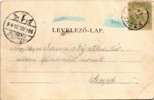 1904 Szováta-fürdő, Baile Sovata; Részlet a Medve-tóból. Petróczy G. fényképész fölvétele / Lacul Ur...