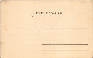 Versec, Vrsac; Iskola utca, Fehértemplomi út, Pietát üzlet. Josef Steiger kiadása / streets, shop (f...