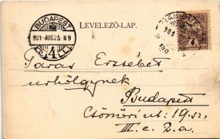 1901 Versec, Vrsac; Verseci hegység. Wilhelm Wettl kiadása No. 60. / mountain + "BÁZIÁS - BUDAP...