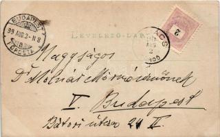 1898 Szliács, Sliac; József-forrás / spa, spring source. photo (vágott / cut)