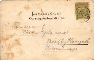 1904 Szliácsfürdő, Kúpele Sliac; gyógyfürdő és környéke. Pannonia, Otthon, Hungaria, Fürdőház, Buda,...