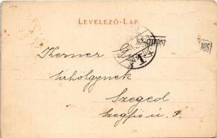 1904 Szliácsfürdő, Kúpele Sliac; Üdvözlégy villa, nyaraló. Kiadja Lechnitzky O. / villa (Rb)