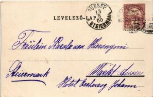 1900 Vác, Méltóságos Gróf Csáky Károly váci megyés püspök bevonulása (vágott / cut)