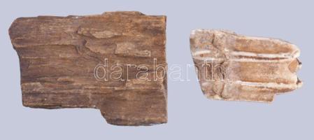 2 darab fa fosszília, h: 6-8 cm