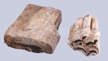 2 darab fa fosszília, h: 6-8 cm