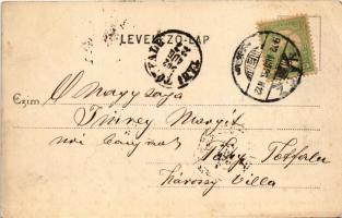 1902 Vác, Fő tér a templommal, üzletek. Kiadja Divald Károly 166. sz. (EK)