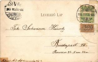 1905 Vác, Papnövelde. Divald Károly 597. sz. (r)