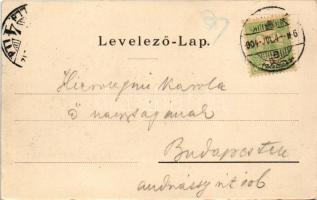 1904 Vác, Siketnémák királyi országos intézete, régi intézet kerti részlet. Klösz György Budapest