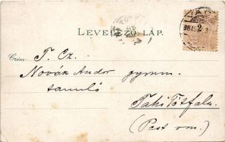 1898 Vác, Nagytemplom, fegyintézet, siketnéma intézet. Ottmar Zieher Art Nouveau, floral, litho (EK)