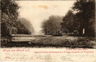 1905 Lajtabruck, Bruck an der Leitha; Partie aus dem gräfl. Harrach'schen Schlosspark in Prugg. Aussicht zur Fasanerie / Harrach (Prugg) kastély kertje. Alex J. Klein kiadása / castle park (fl)