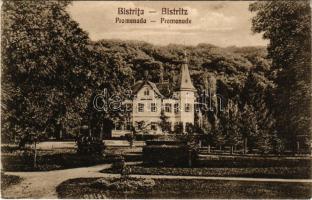 Beszterce, Bistritz, Bistrita; Promenada / sétatér, villa. G. Zikeli kiadása / promenade, villa (EK)