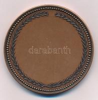 DN "Ivan Antunovics 1815-1888 - Budapesti horvátok - Horvát önkormányzat" kétoldalas, vert...