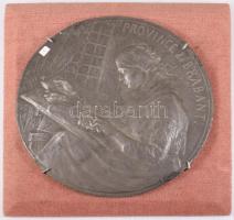 Godefroid Devreese (1861-1941): Dentelliére (Csipkeverő). Fém plakett, d: 25 cm, fa lapra applikálva 30x30 cm