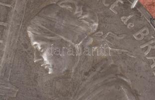 Godefroid Devreese (1861-1941): Dentelliére (Csipkeverő). Fém plakett, d: 25 cm, fa lapra applikálva...