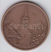 DN Csaroda-Szabolcs Szatmár Megyei Idegenforgalmi Hivatal emlékérem 40mm Br T:2