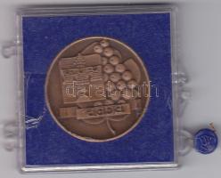 DN Eger Br emlékérem 32mm